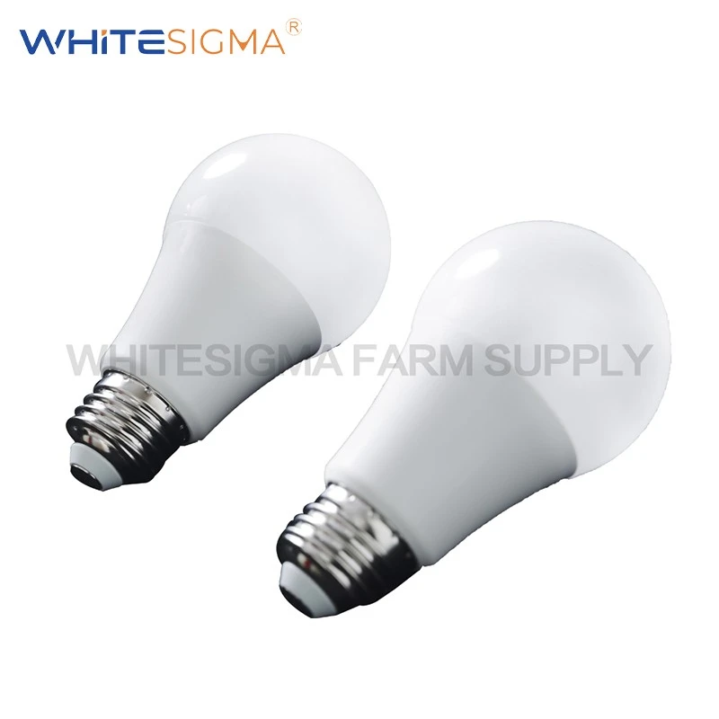 LED Bulb best